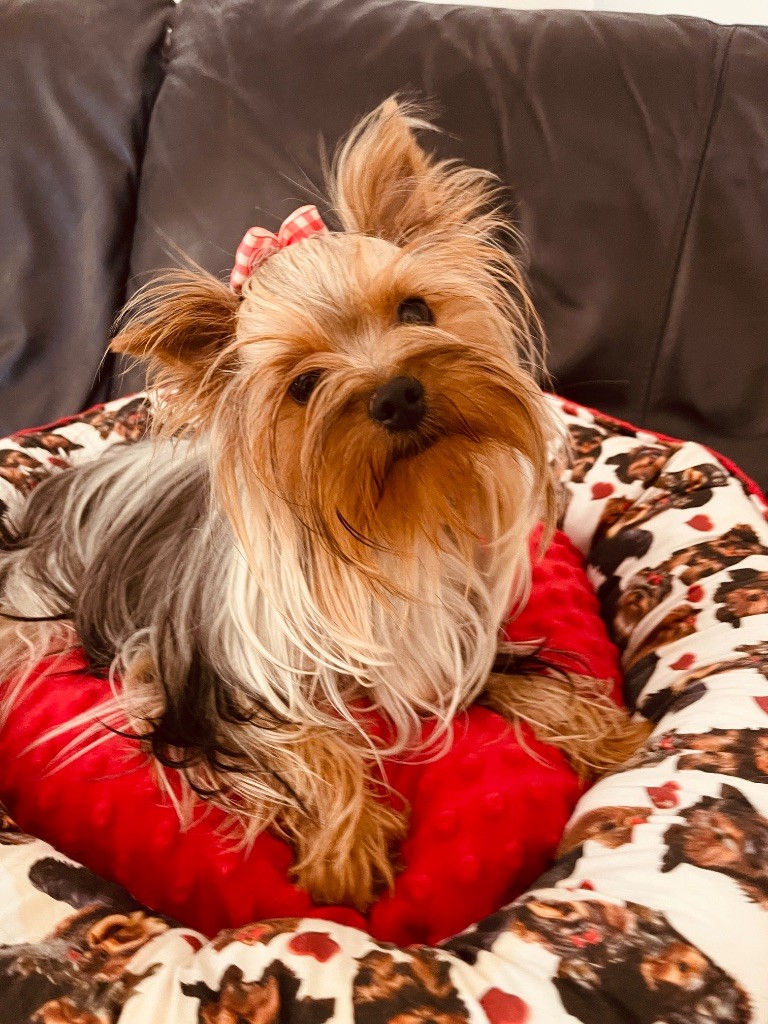 Amberstill Willow love