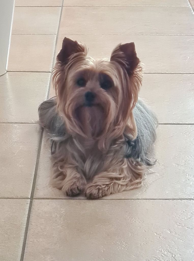 The diana love du Domaine Des Albizzias